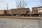 NS 10152